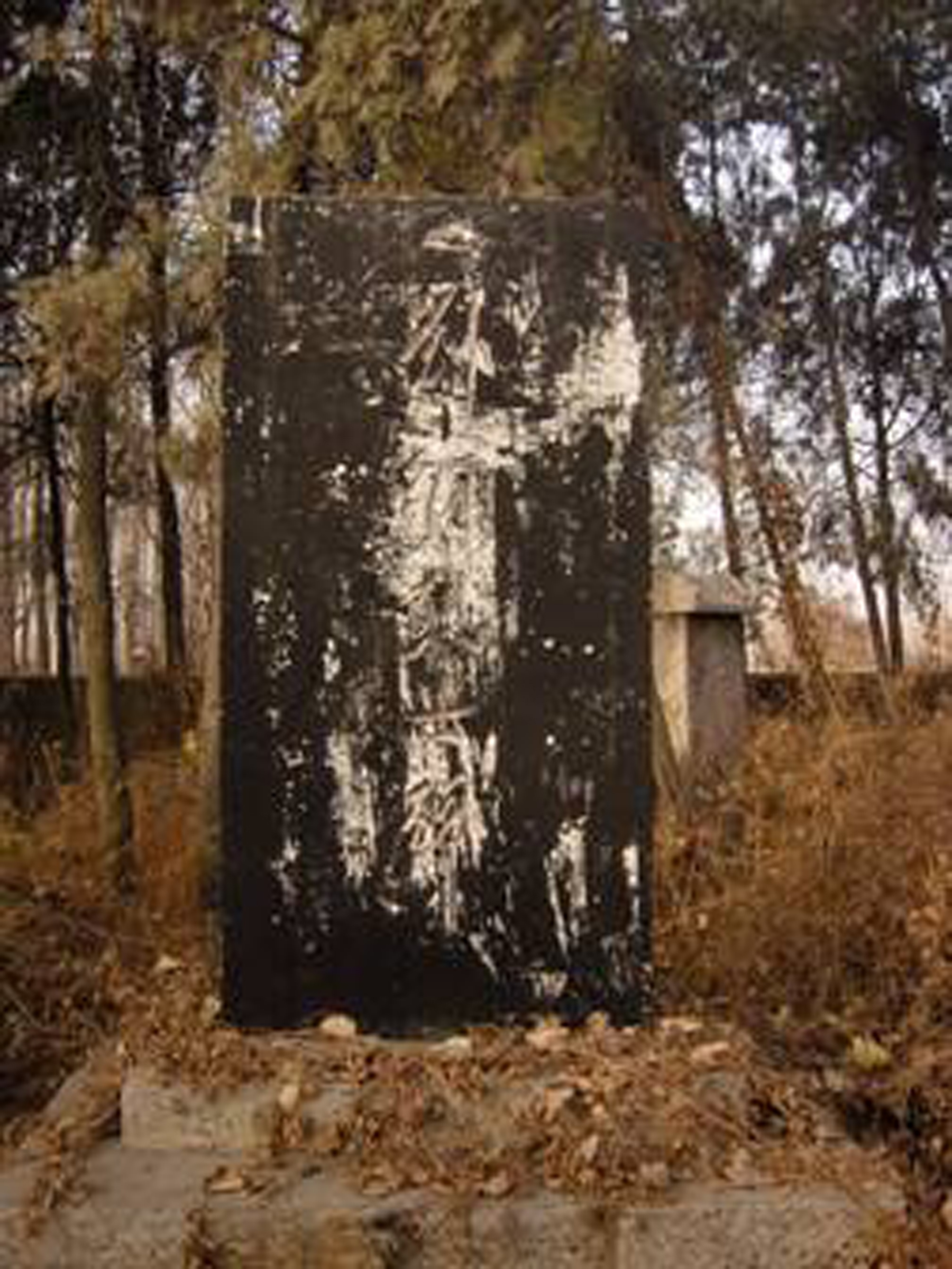 02 劉鋼革命烈士碑 拍攝人:郭允新 拍攝時間:2010年12月2日.jpg